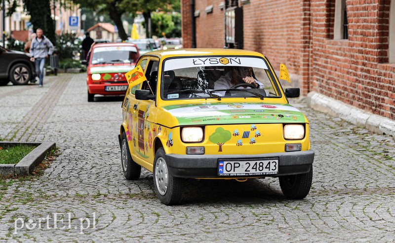 Jadą przez kraj żeby pomóc pszczołom zdjęcie nr 160332