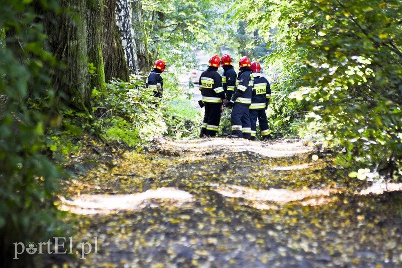 Strażacy kontra żywioł. Wielkie ćwiczenia we Fromborku zdjęcie nr 160516
