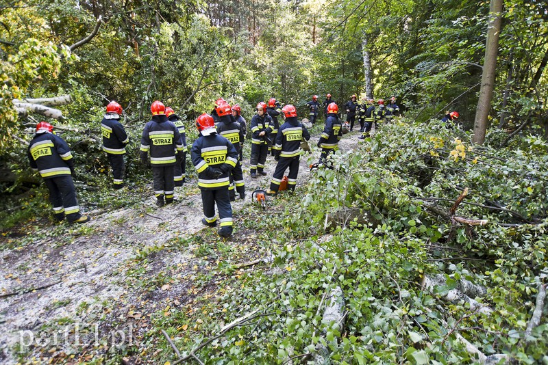 Strażacy kontra żywioł. Wielkie ćwiczenia we Fromborku zdjęcie nr 160500
