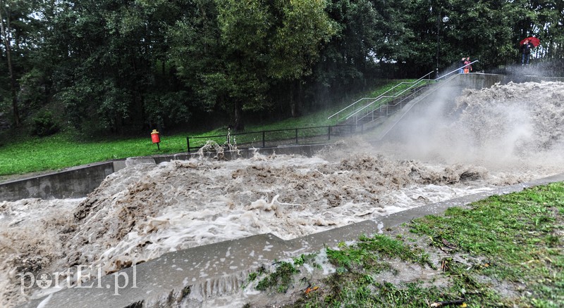 Elbląg i region walczy z ulewą. Najgorzej jest na Związku Jaszczurczego zdjęcie nr 160823