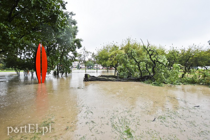 Zalany Elbląg zdjęcie nr 160864