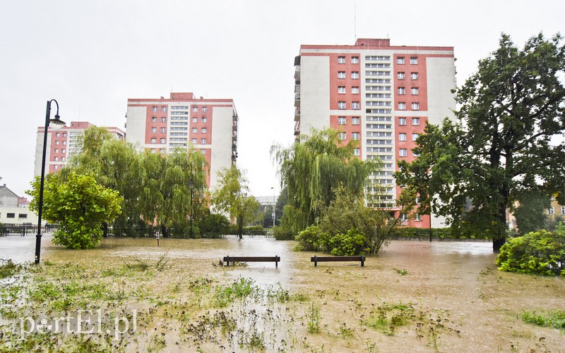 Zalany Elbląg zdjęcie nr 160862