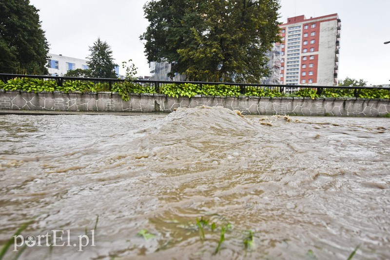 Zalany Elbląg zdjęcie nr 160860