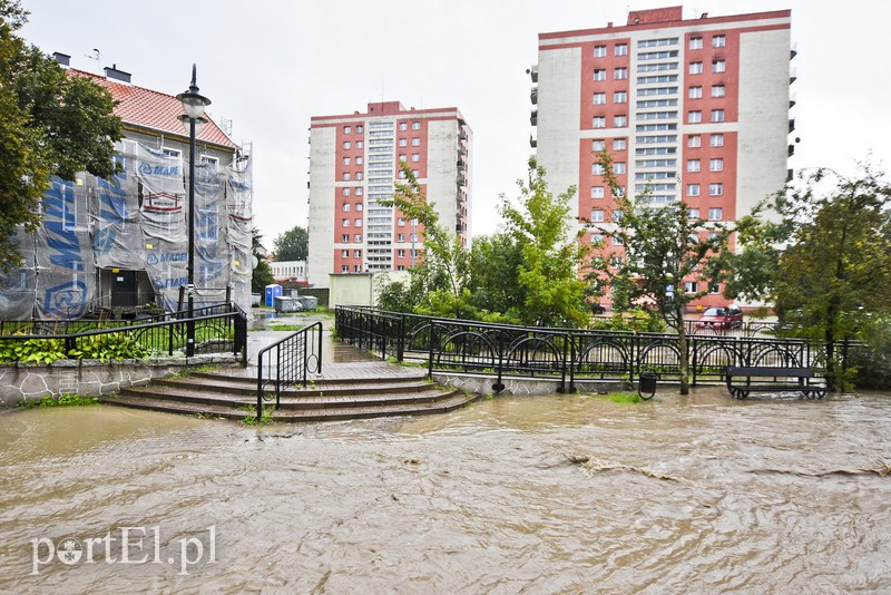 Zalany Elbląg zdjęcie nr 160861