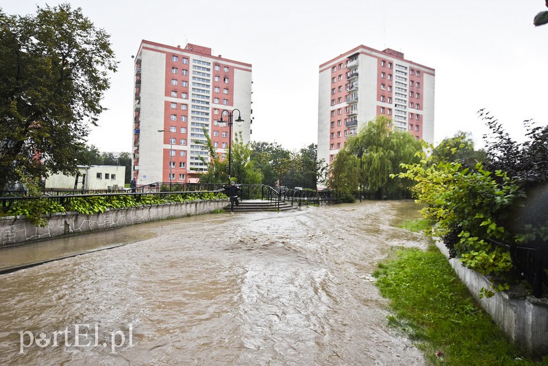 Zalany Elbląg zdjęcie nr 160857