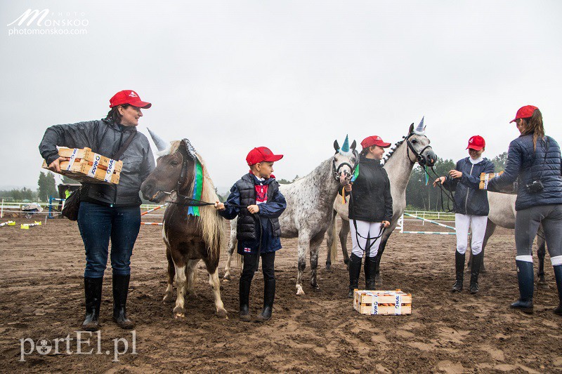 Elbląg Pony Cup 2017 za nami