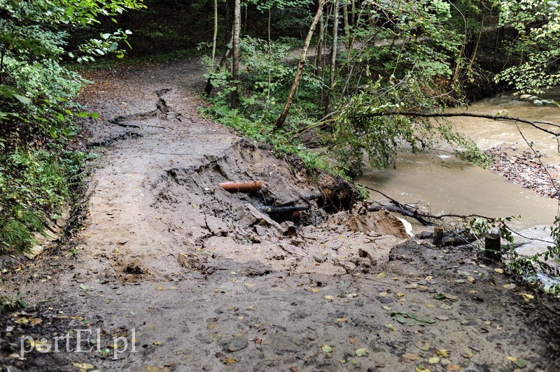 Bażantarnia zniszczona przez Srebrny Potok, ale Bażant się odbędzie zdjęcie nr 160985