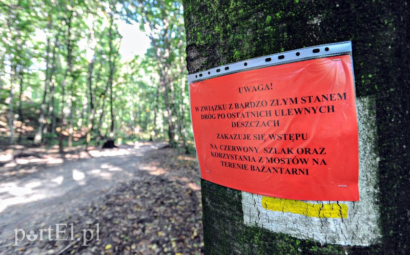 Elbląg Bażantarnia zniszczona przez Srebrny Potok, ale Bażant się odbędzie