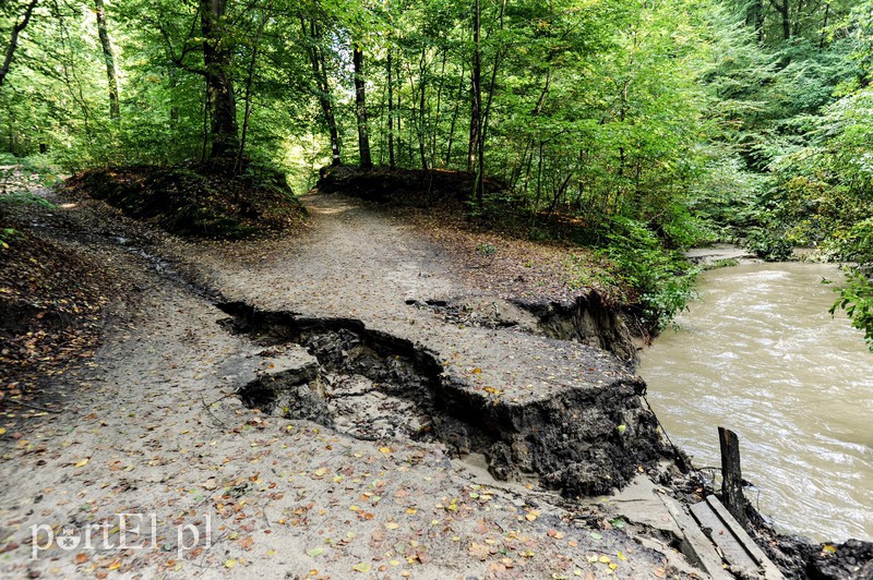 Bażantarnia zniszczona przez Srebrny Potok, ale Bażant się odbędzie zdjęcie nr 160977