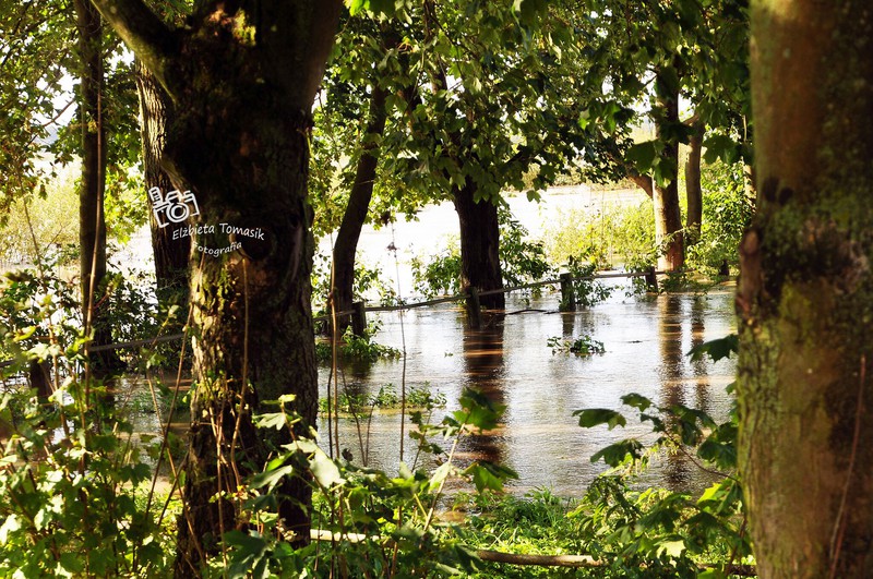 Ratowali Rzeczną przed zalaniem zdjęcie nr 160993