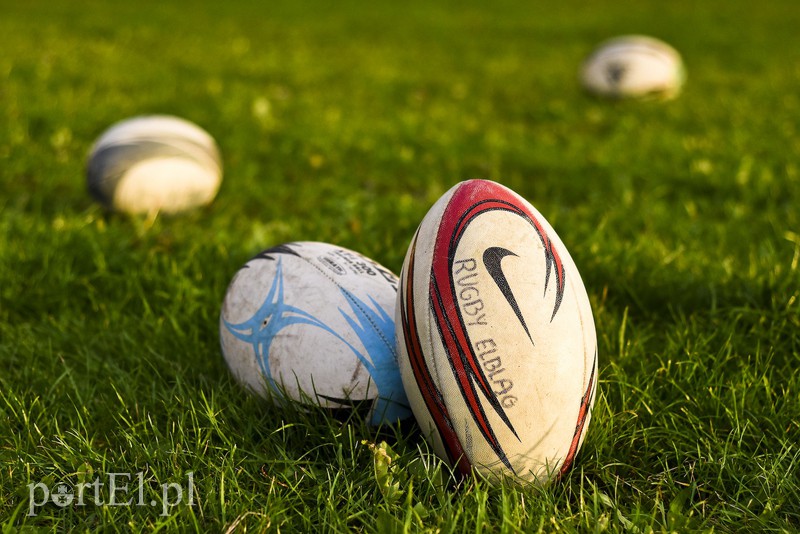 Jajo wraca do miasta zdjęcie nr 161065