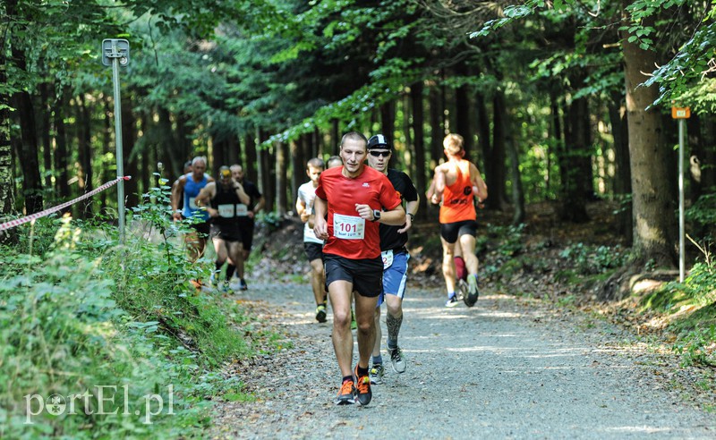 Gonili „Bażanta” po mistrzowsku zdjęcie nr 161219