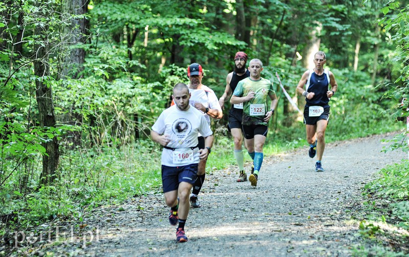 Gonili „Bażanta” po mistrzowsku zdjęcie nr 161216