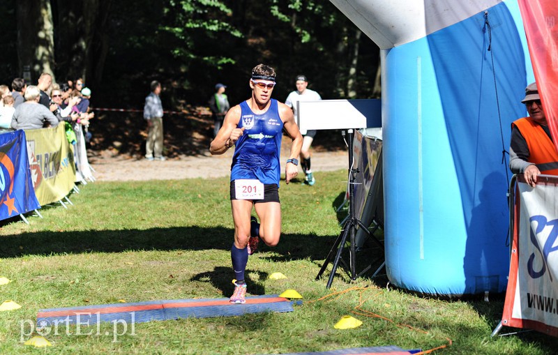 Gonili „Bażanta” po mistrzowsku zdjęcie nr 161238