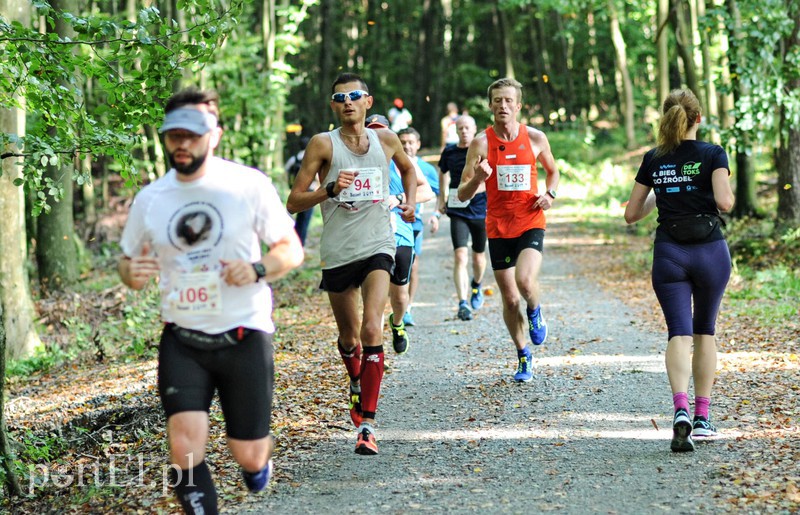 Gonili „Bażanta” po mistrzowsku zdjęcie nr 161232