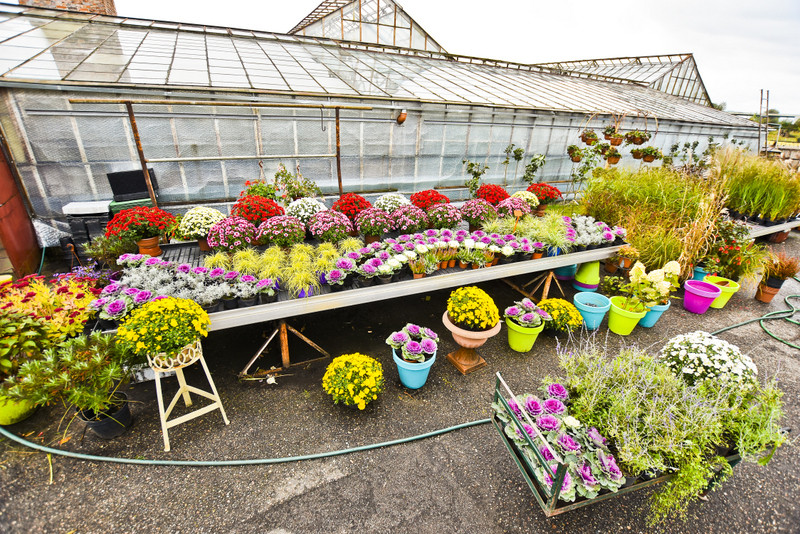 Jesień rozkwita głębokimi barwami zdjęcie nr 162081