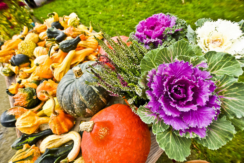 Jesień rozkwita głębokimi barwami zdjęcie nr 162088