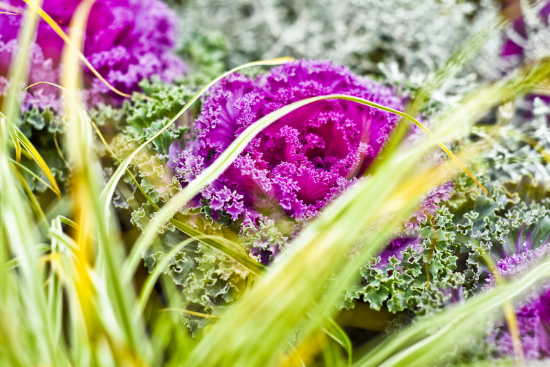 Jesień rozkwita głębokimi barwami zdjęcie nr 162086