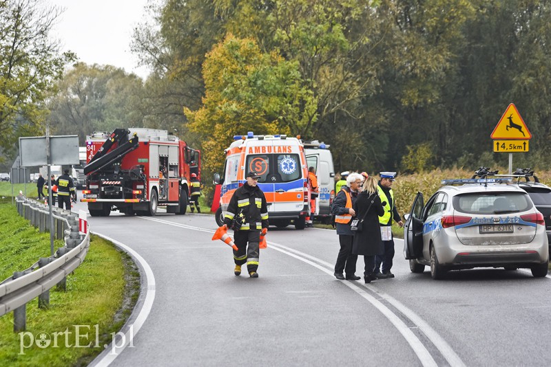Uderzył w drzewo, jedna osoba nie żyje zdjęcie nr 162365