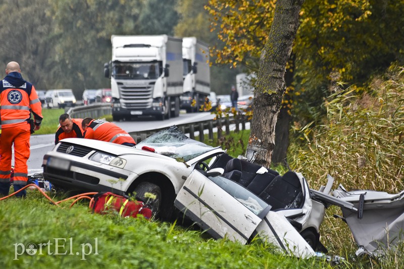 Uderzył w drzewo, jedna osoba nie żyje zdjęcie nr 162355