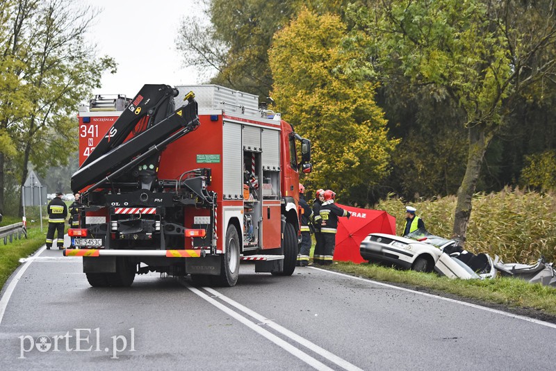 Uderzył w drzewo, jedna osoba nie żyje zdjęcie nr 162364