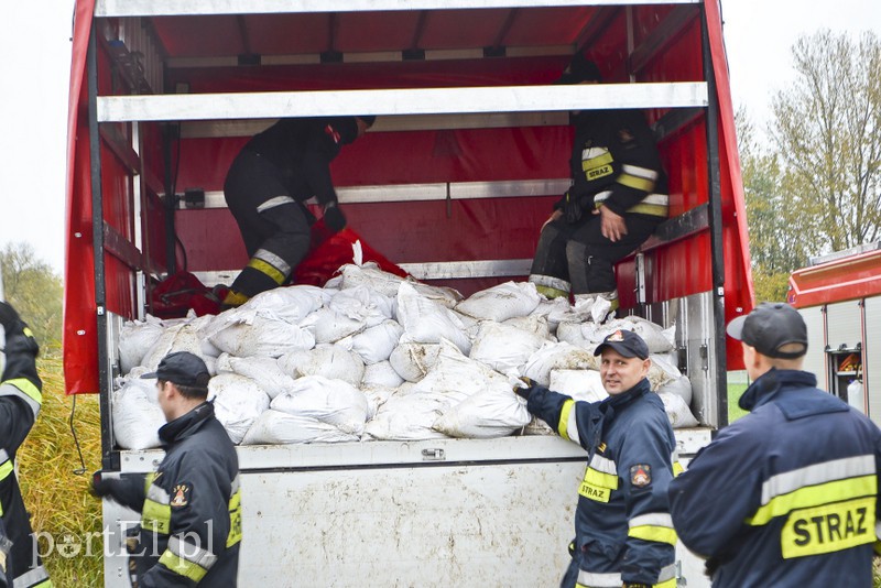 Strażacy ćwiczą walkę z cofką zdjęcie nr 162370