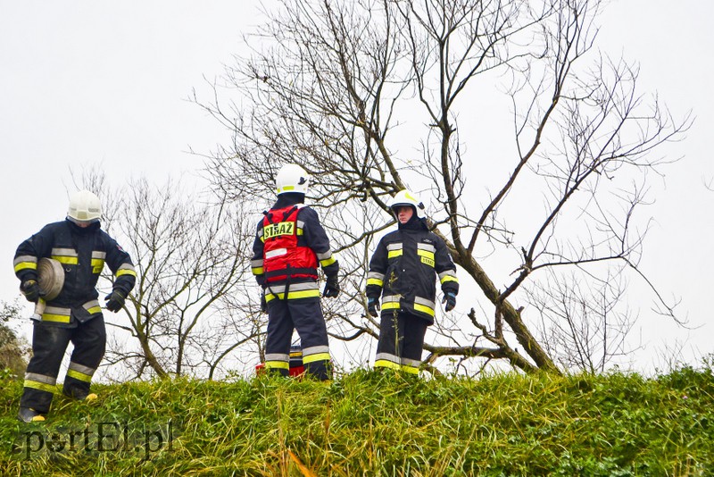 Strażacy ćwiczą walkę z cofką zdjęcie nr 162381
