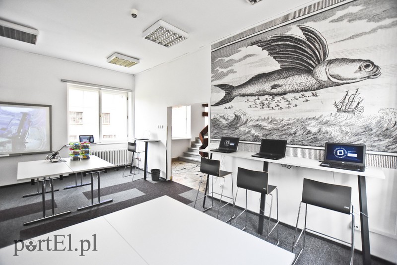 Z książką w hamaku, czyli biblioteka marzeń zdjęcie nr 162786