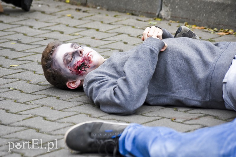 Terroryści? Jesteśmy gotowi zdjęcie nr 163012