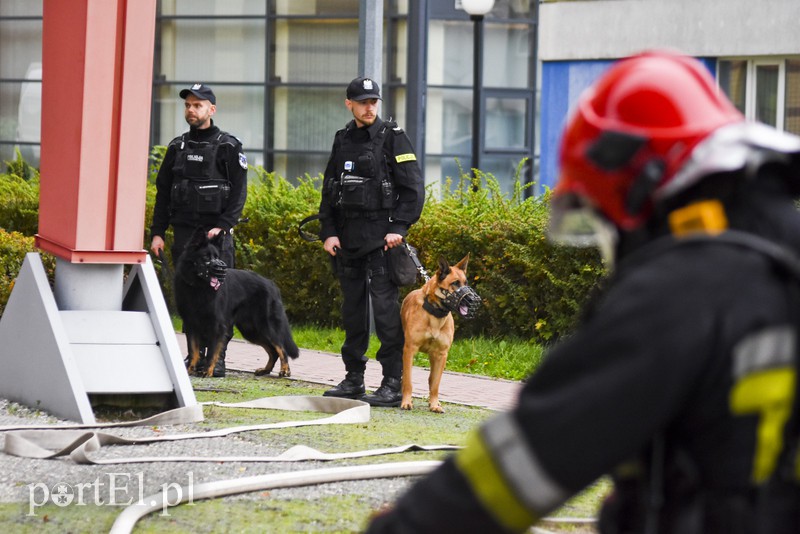 Terroryści? Jesteśmy gotowi zdjęcie nr 163036