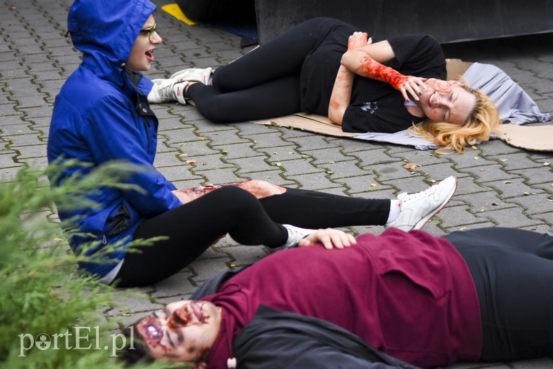 Terroryści? Jesteśmy gotowi zdjęcie nr 163010