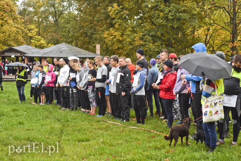 Elbląg Biegli pod dom dla Radka
