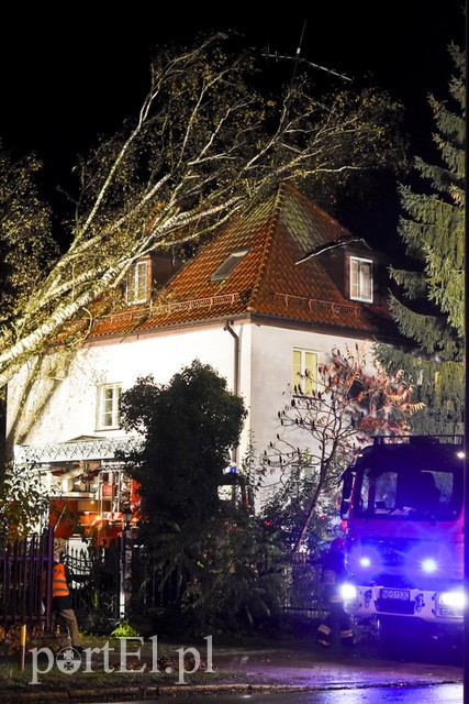 Drzewo przewróciło się na dom zdjęcie nr 163600