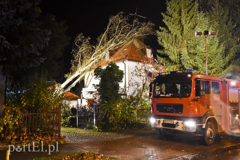 Drzewo przewróciło się na dom zdjęcie nr 163596