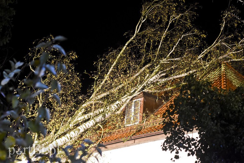 Drzewo przewróciło się na dom zdjęcie nr 163595