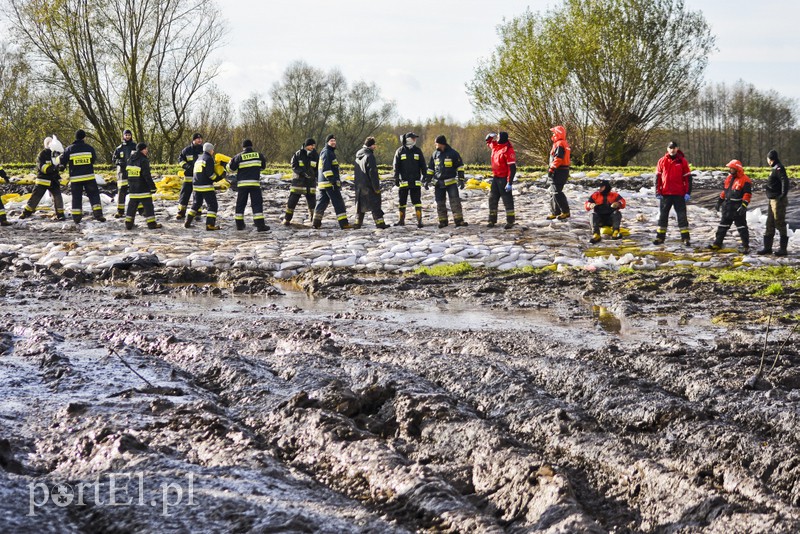 Jezioro Druzno. Czy wał wytrzyma? zdjęcie nr 163703