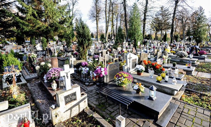 Cmentarz Agrykola, 31.10.2017 zdjęcie nr 163745