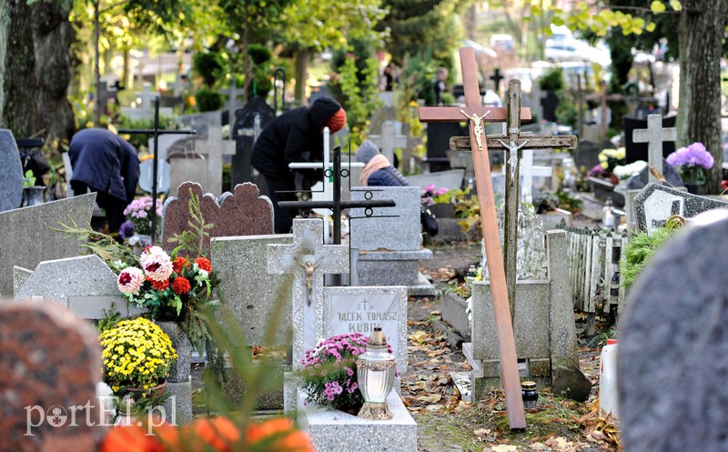 Cmentarz Agrykola, 31.10.2017 zdjęcie nr 163751