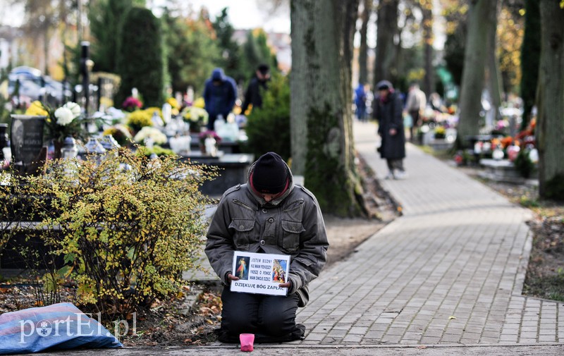 Cmentarz Agrykola, 31.10.2017 zdjęcie nr 163734