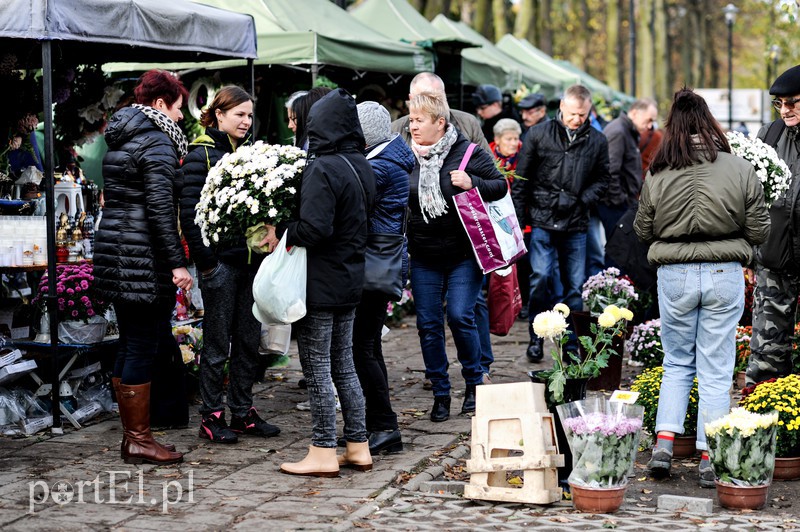 Cmentarz Agrykola, 31.10.2017 zdjęcie nr 163732