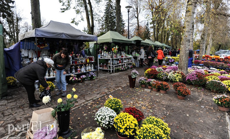 Cmentarz Agrykola, 31.10.2017 zdjęcie nr 163730