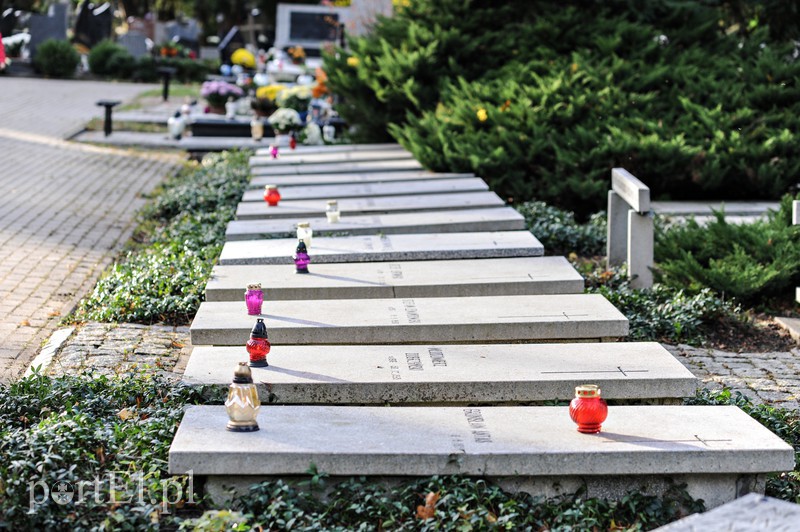 Cmentarz Agrykola, 31.10.2017 zdjęcie nr 163739