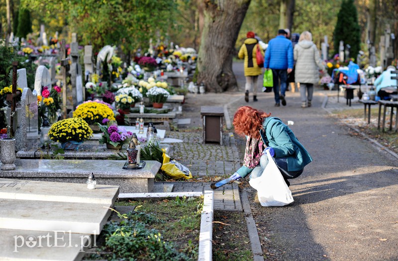 Cmentarz Agrykola, 31.10.2017 zdjęcie nr 163741