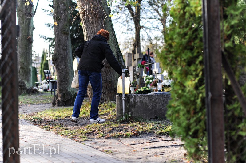 Cmentarz Agrykola, 31.10.2017 zdjęcie nr 163754