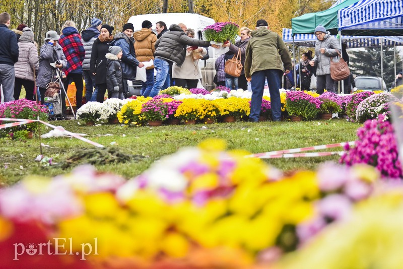 Elblążanie odwiedzają groby bliskich zdjęcie nr 163775