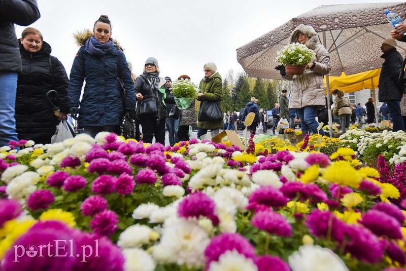 Elblążanie odwiedzają groby bliskich zdjęcie nr 163779