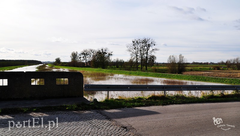 Wysoka woda na Żuławach zdjęcie nr 163805