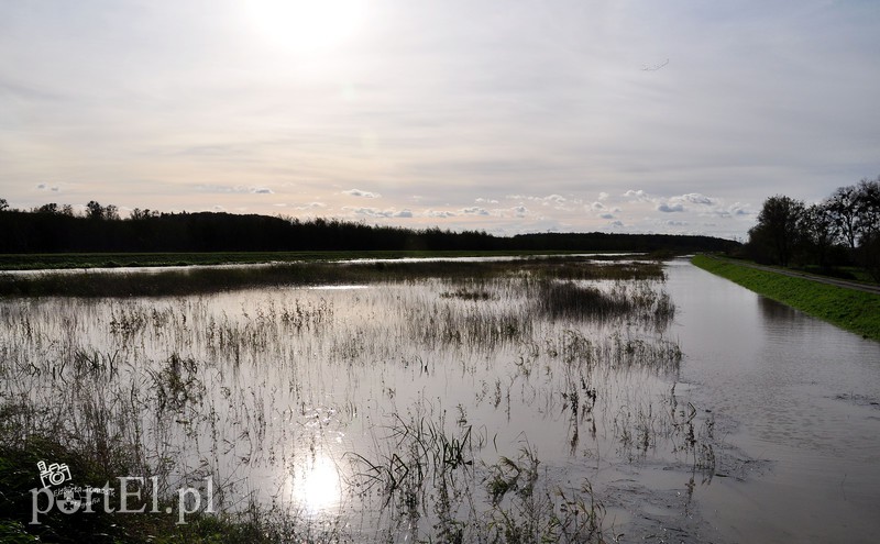 Wysoka woda na Żuławach zdjęcie nr 163800