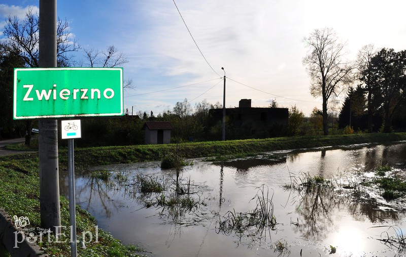 Wysoka woda na Żuławach zdjęcie nr 163798