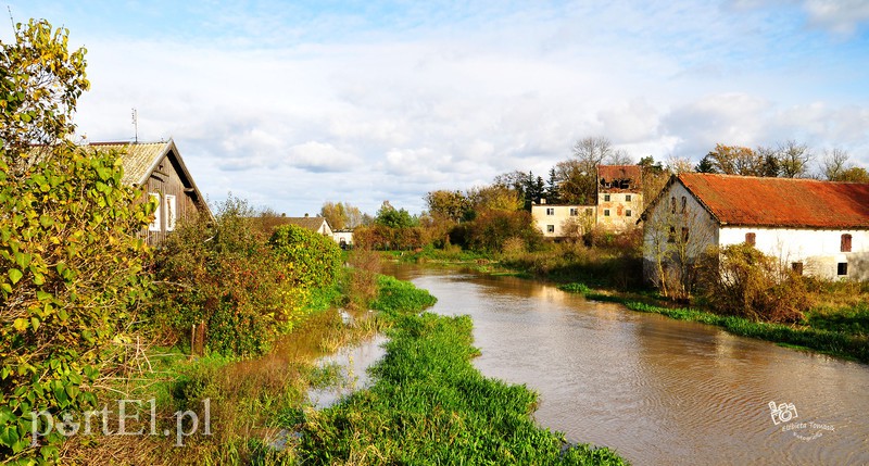 Wysoka woda na Żuławach zdjęcie nr 163803